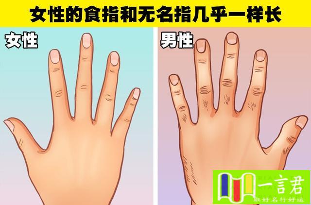 女人无名指比食指长代表什么意思（女性的食指和无名指几乎一样长？很少有人知道男女之间的8种差异）