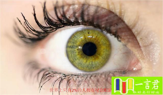 琥珀瞳和棕色瞳的区别（为什么人的眼睛有不同的颜色？各种眼睛颜色的人口比例是多少？）