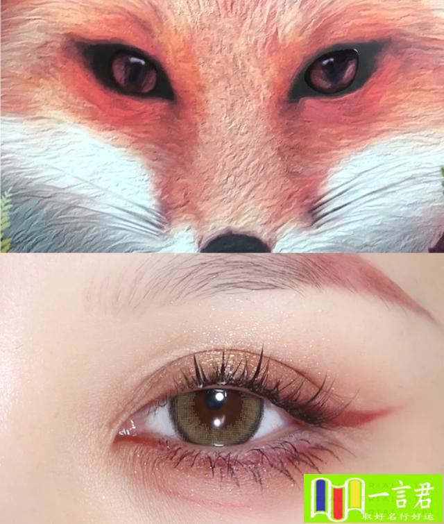 杏眼和鹿眼的区别（常见的六种眼型，桃花眼让男生心动，女生羡慕狐狸眼，你是哪一种）