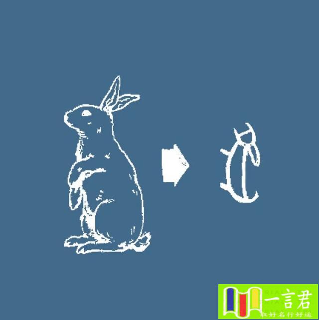 鼠和兔合不合（兔年说兔，关于兔子的这些冷知识你知道吗？）